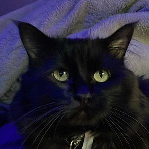 Just looking to buy cool stuff